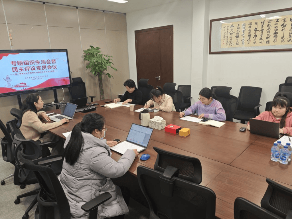 强化督导引领，激发基层党建新活力——上海市资产评估行业党委2026年全程参加基层党支部组织生活会